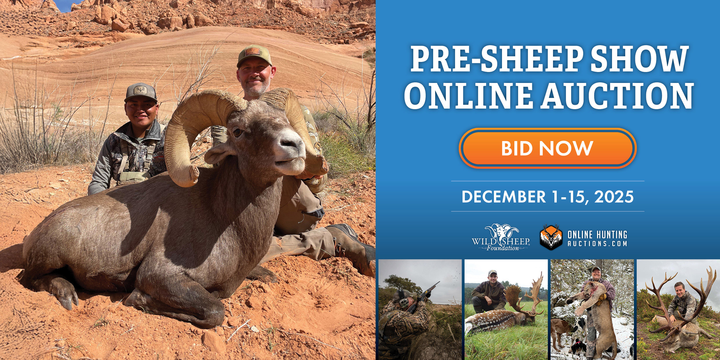 Banner promoting Wild Sheep Foundation December Auction
